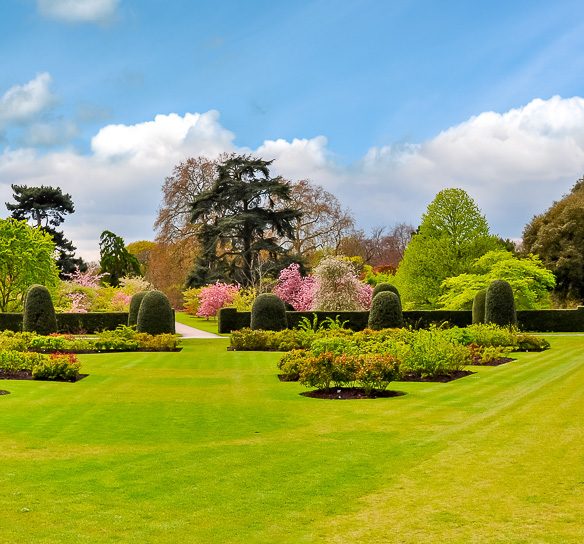 Kew Gardens Masterplan
